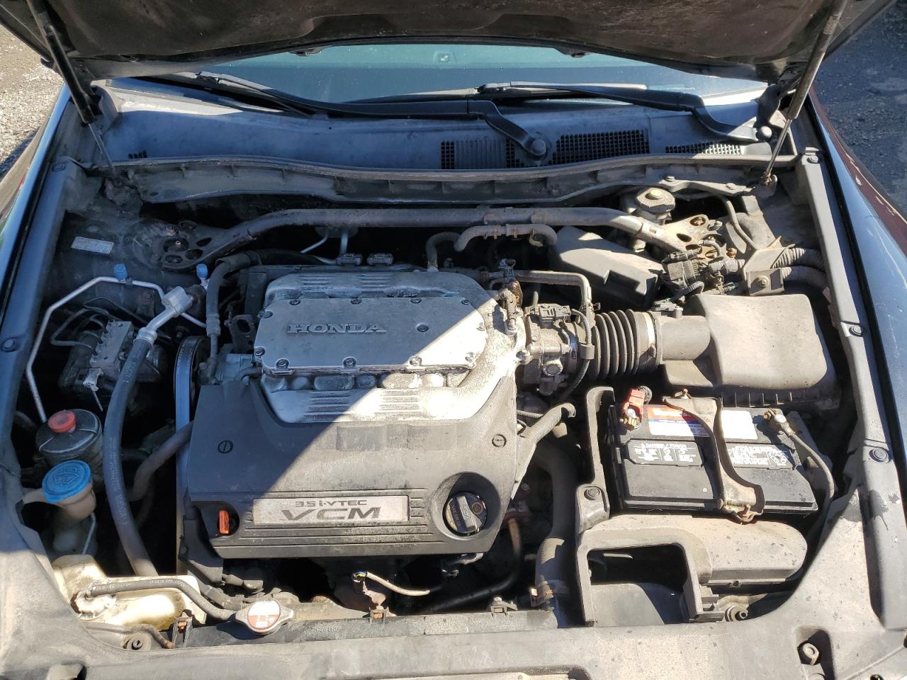 1HGCS2B82BA000599 2011 Honda Accord Exl