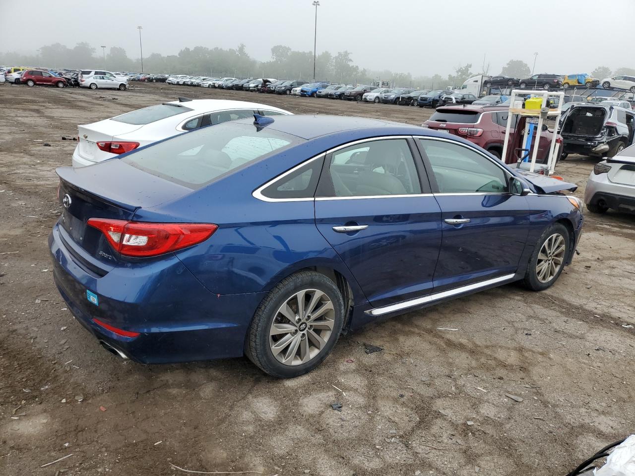 5NPE34AF9HH564462 2017 Hyundai Sonata Sport