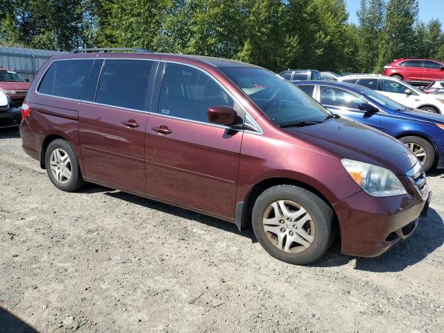 2007 Honda Odyssey Exl VIN: 5FNRL387X7B428574 Lot: 60002894