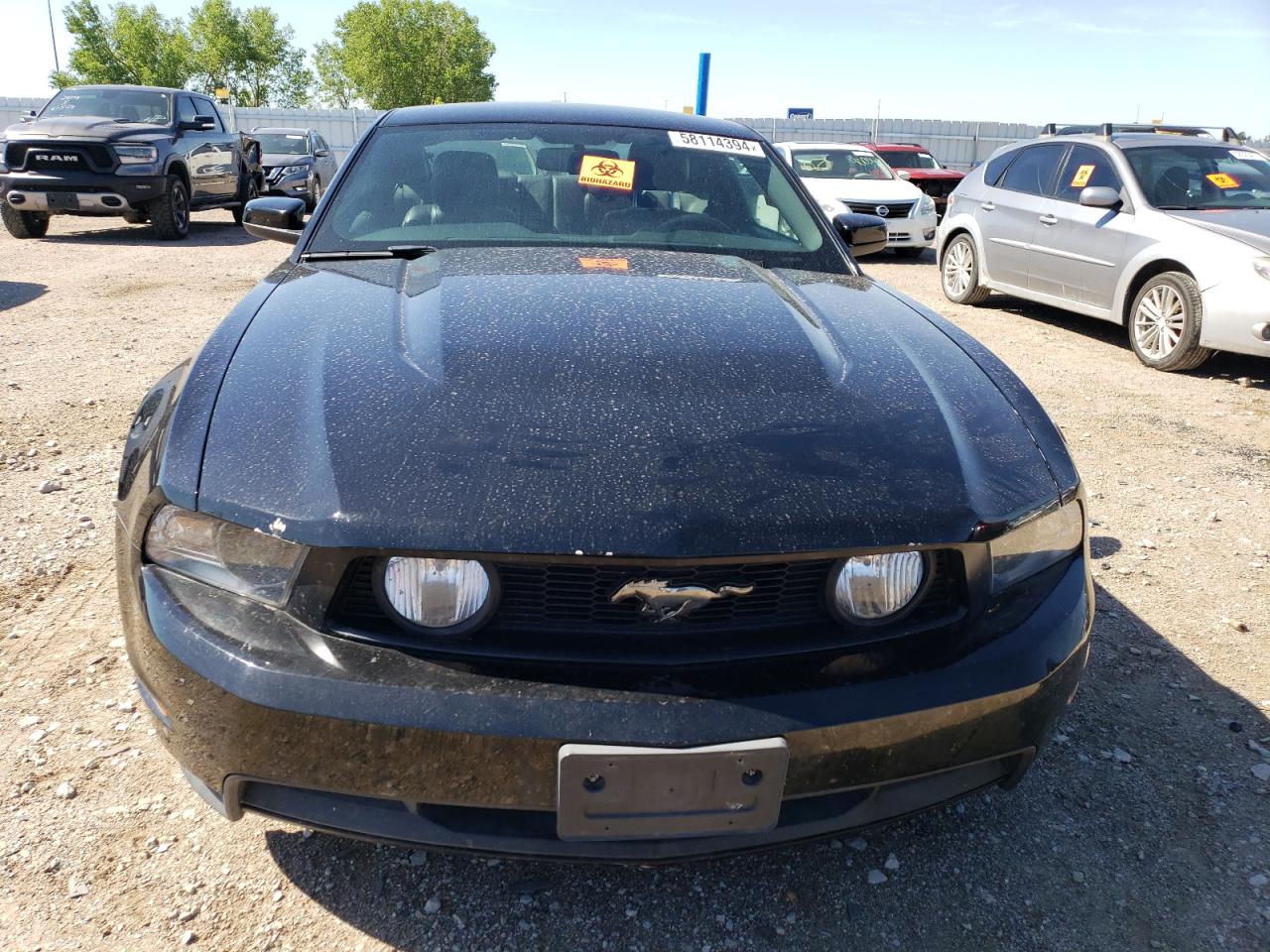 2012 Ford Mustang Gt vin: 1ZVBP8CF3C5254101