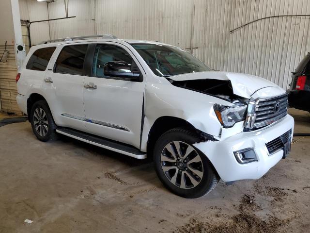 2019 TOYOTA SEQUOIA LI - 5TDJY5G14KS169284