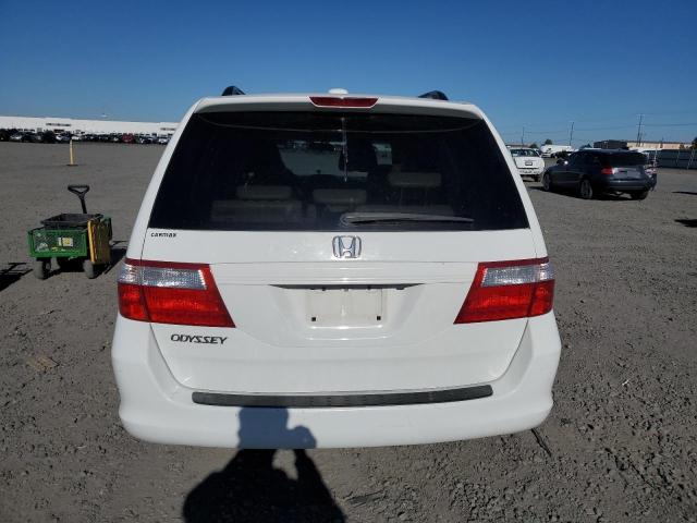 2007 Honda Odyssey Exl VIN: 5FNRL38767B435439 Lot: 58868264