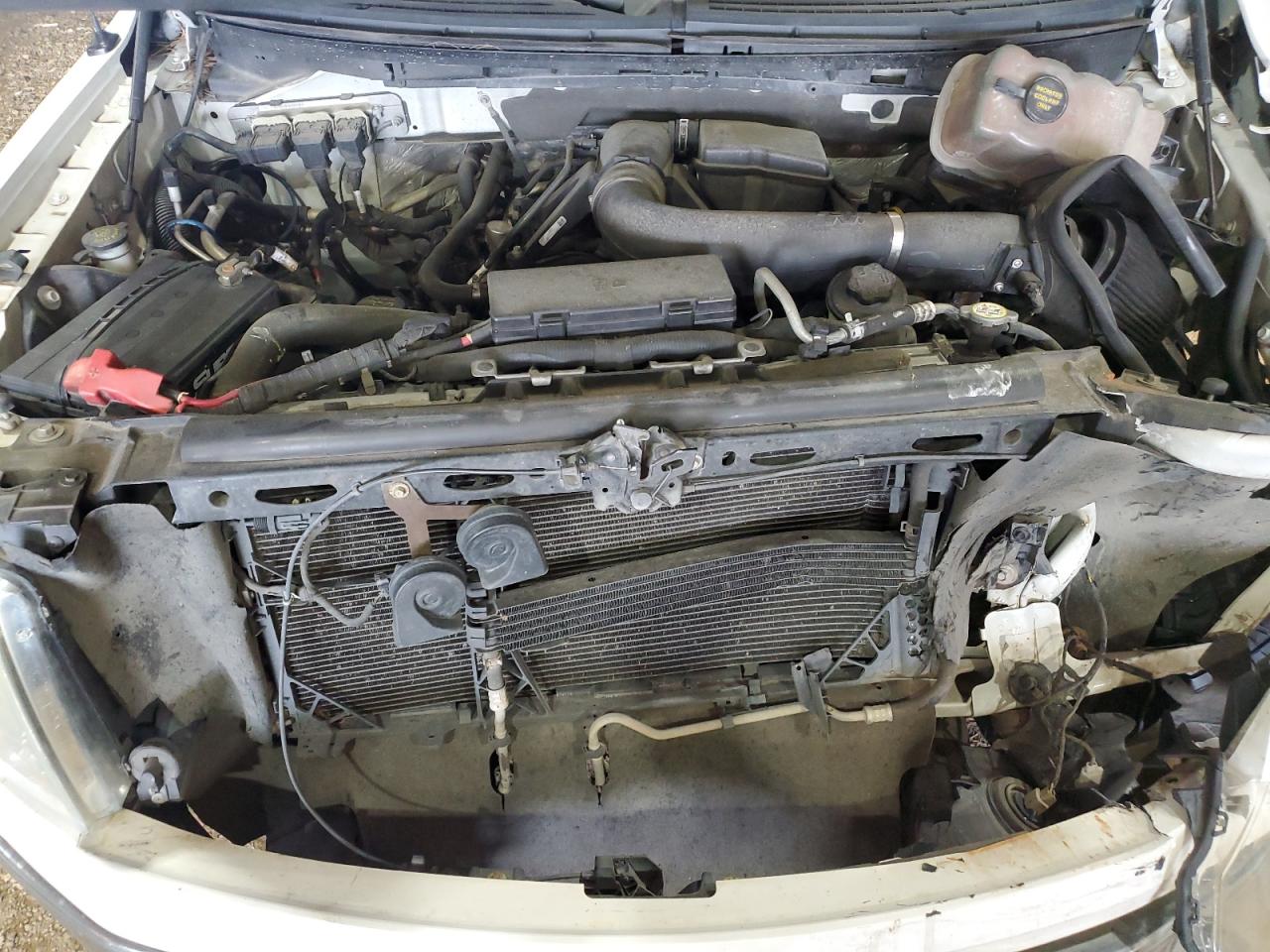 1FTFW1CV8AKA32707 2010 Ford F150 Supercrew