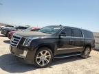 2017 CADILLAC ESCALADE E - 1GYS3JKJ8HR172001