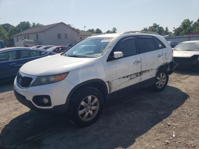 2011 Kia Sorento Base VIN: 5XYKT3A18BG015528 Lot: 59751544