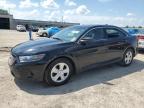 FORD TAURUS POL photo