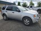 FORD ESCAPE XLT photo