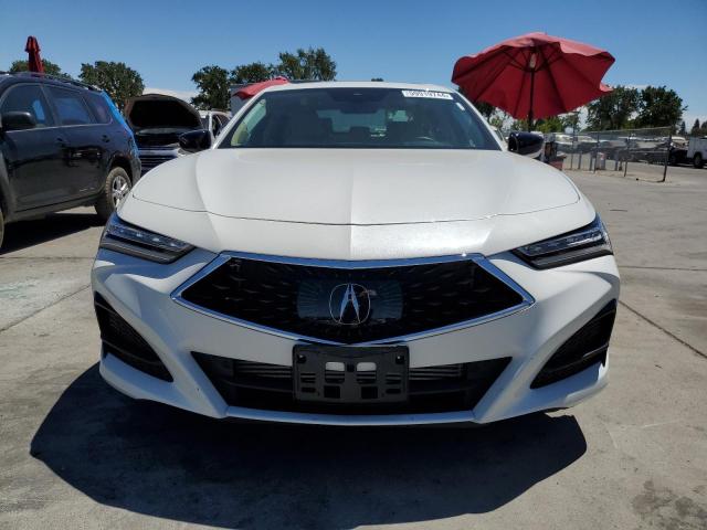2023 Acura Tlx VIN: 19UUB5F36PA005848 Lot: 59919744