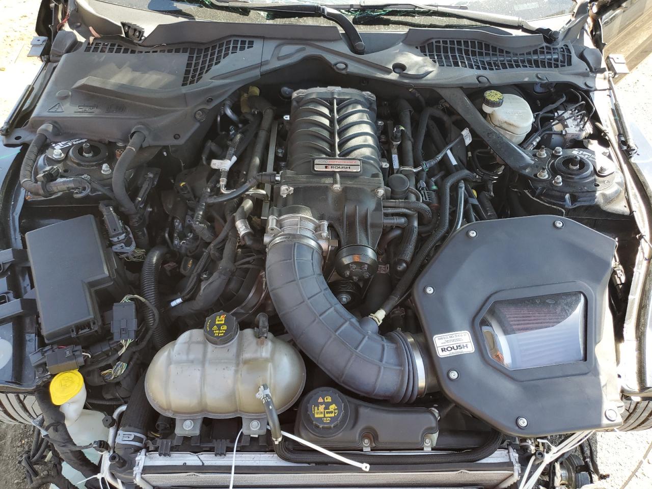 1FA6P8CF0J5104955 2018 Ford Mustang Gt