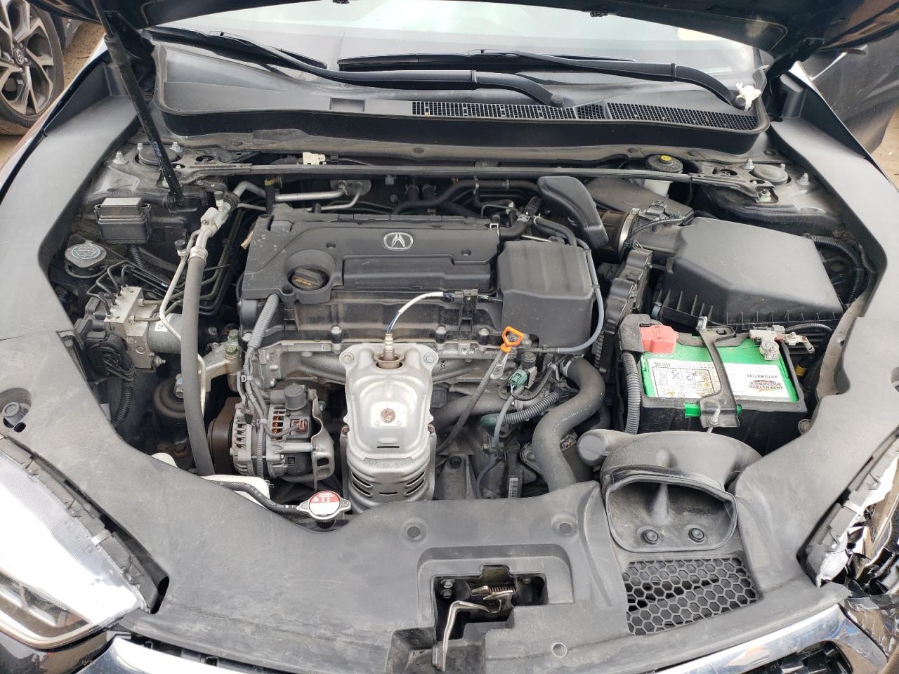 19UUB1F30KA002588 2019 Acura Tlx