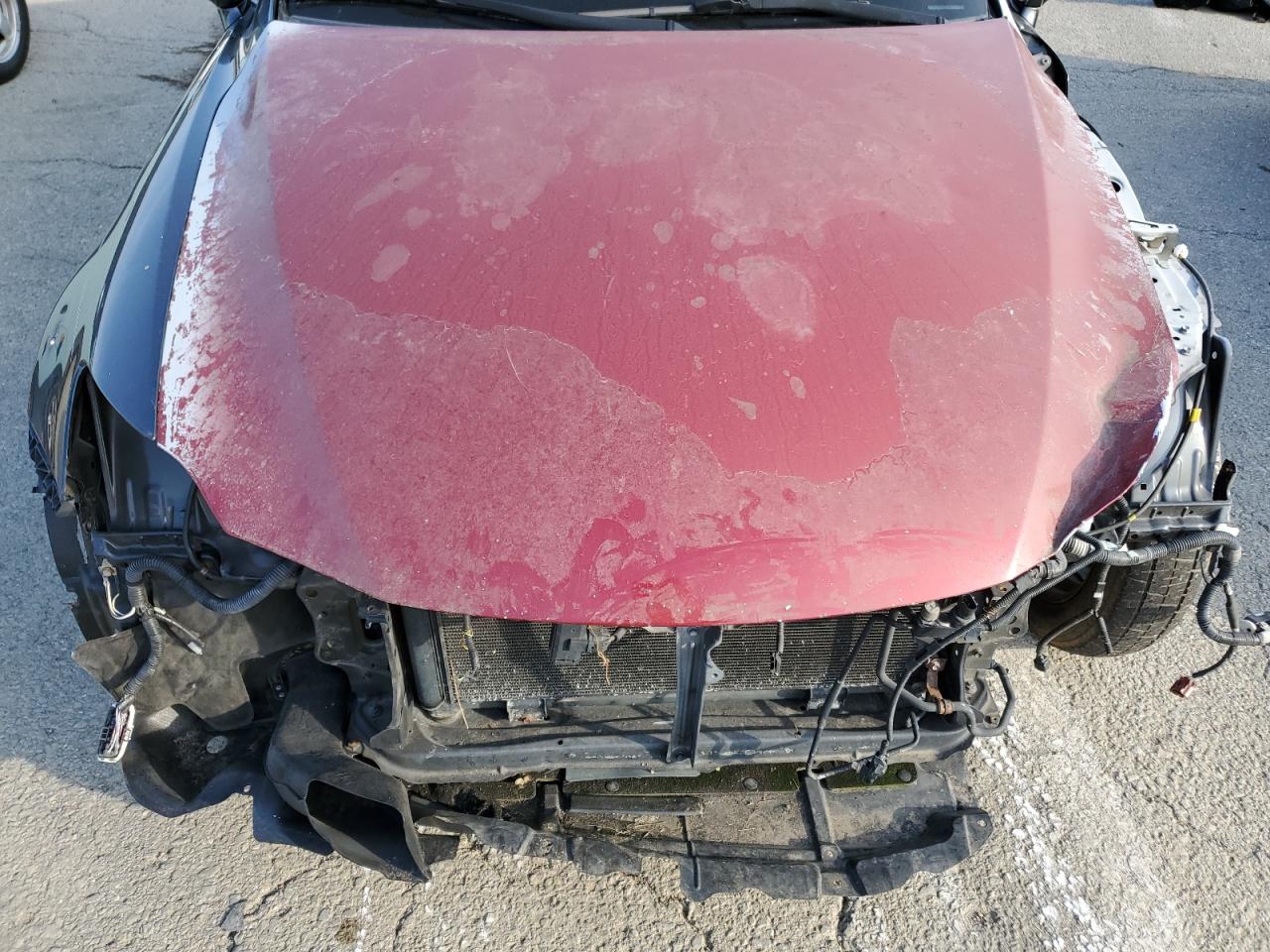 JTHBE262182013160 2008 Lexus Is 350