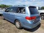 HONDA ODYSSEY EX photo