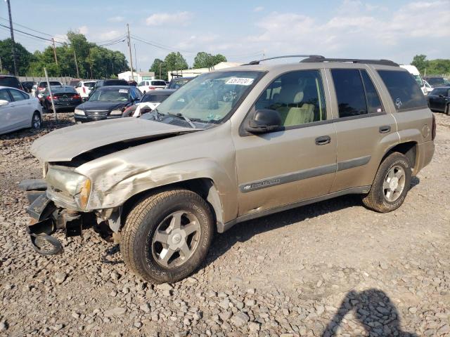 2004 Chevrolet Trailblazer Ls VIN: 1GNDT13S242389091 Lot: 52670124