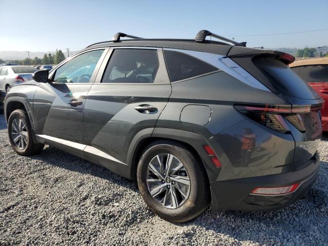 KM8JBCA16PU124263 2023 HYUNDAI TUCSON - Image 2