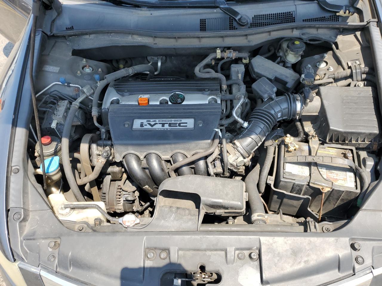 1HGCP264X9A020294 2009 Honda Accord Lxp