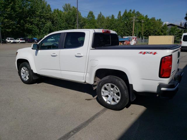 2019 CHEVROLET COLORADO L - 1GCGTCEN8K1131475