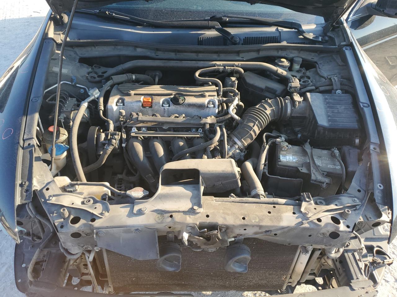 1HGCS1A31AA003556 2010 Honda Accord Lx