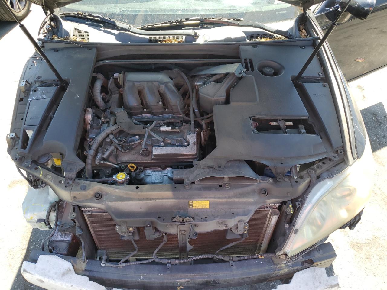 JTHBJ46G982178134 2008 Lexus Es 350