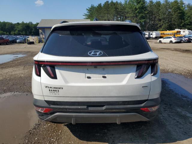 2022 Hyundai Tucson Limited VIN: 5NMJECAE7NH125487 Lot: 60755884