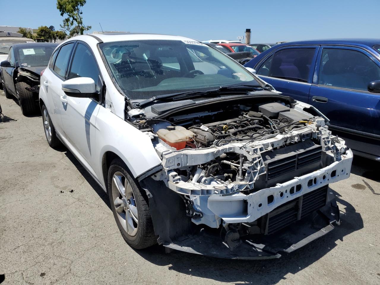 1FADP3K24EL277078 2014 Ford Focus Se