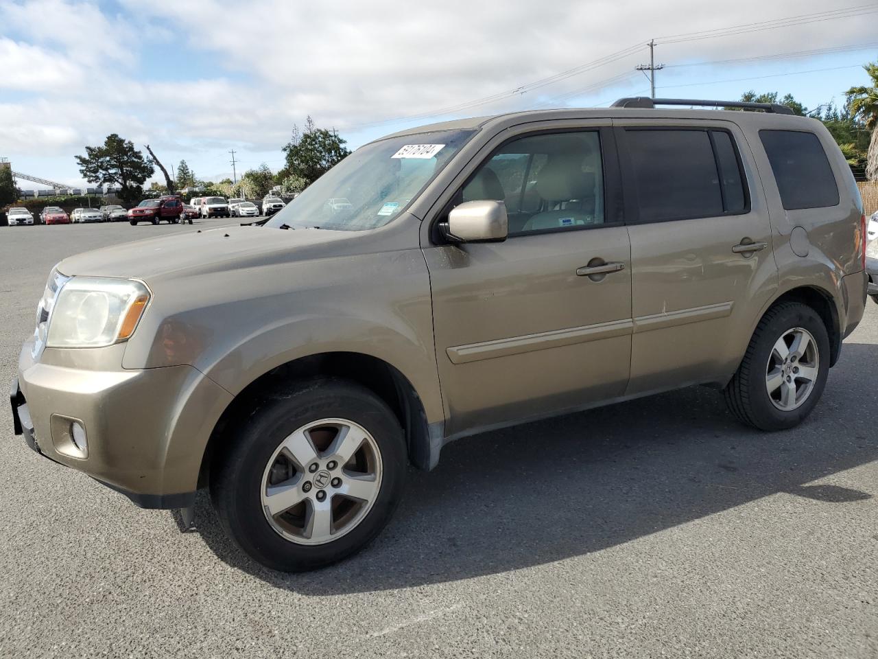 Lot #2988525293 2010 HONDA PILOT