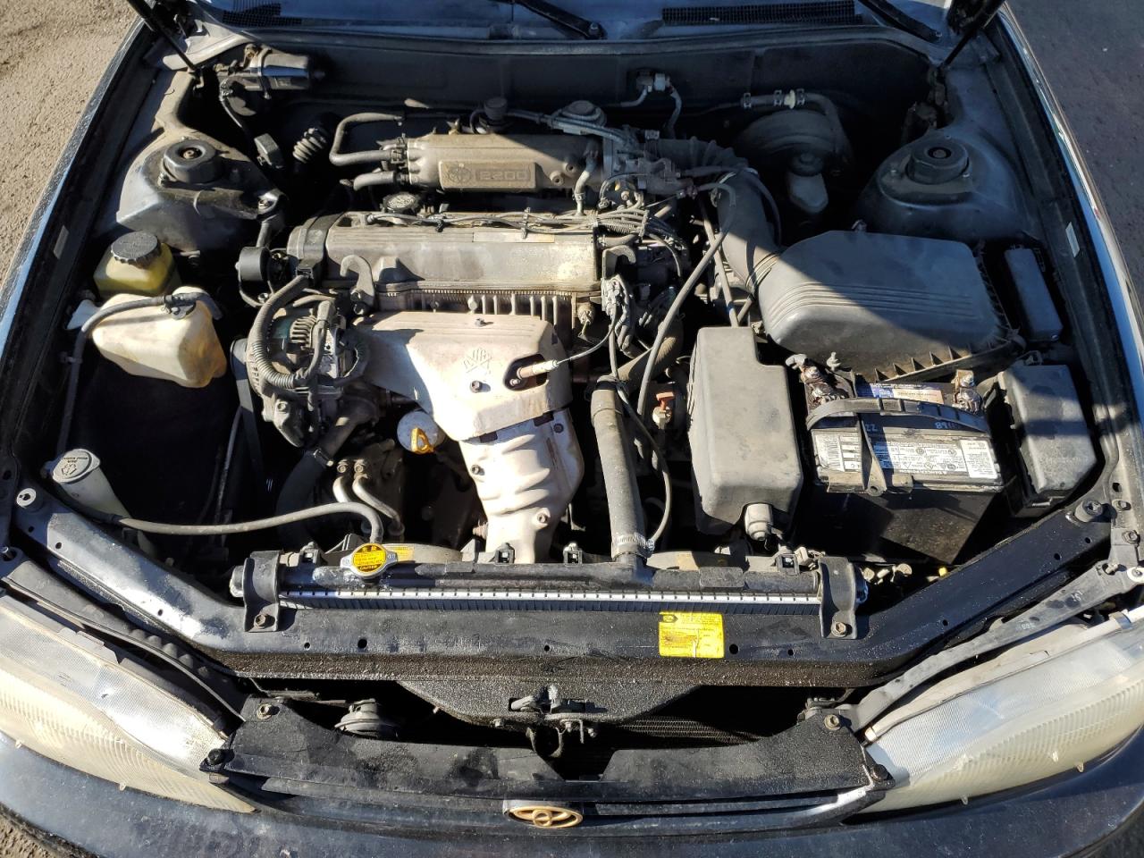 JT2SK12E3S0331720 1995 Toyota Camry Le
