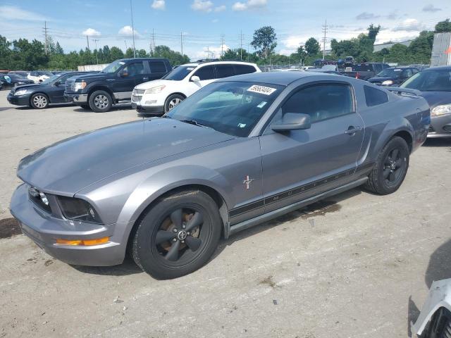 2006 Ford Mustang VIN: 1ZVFT80N165156908 Lot: 59563404