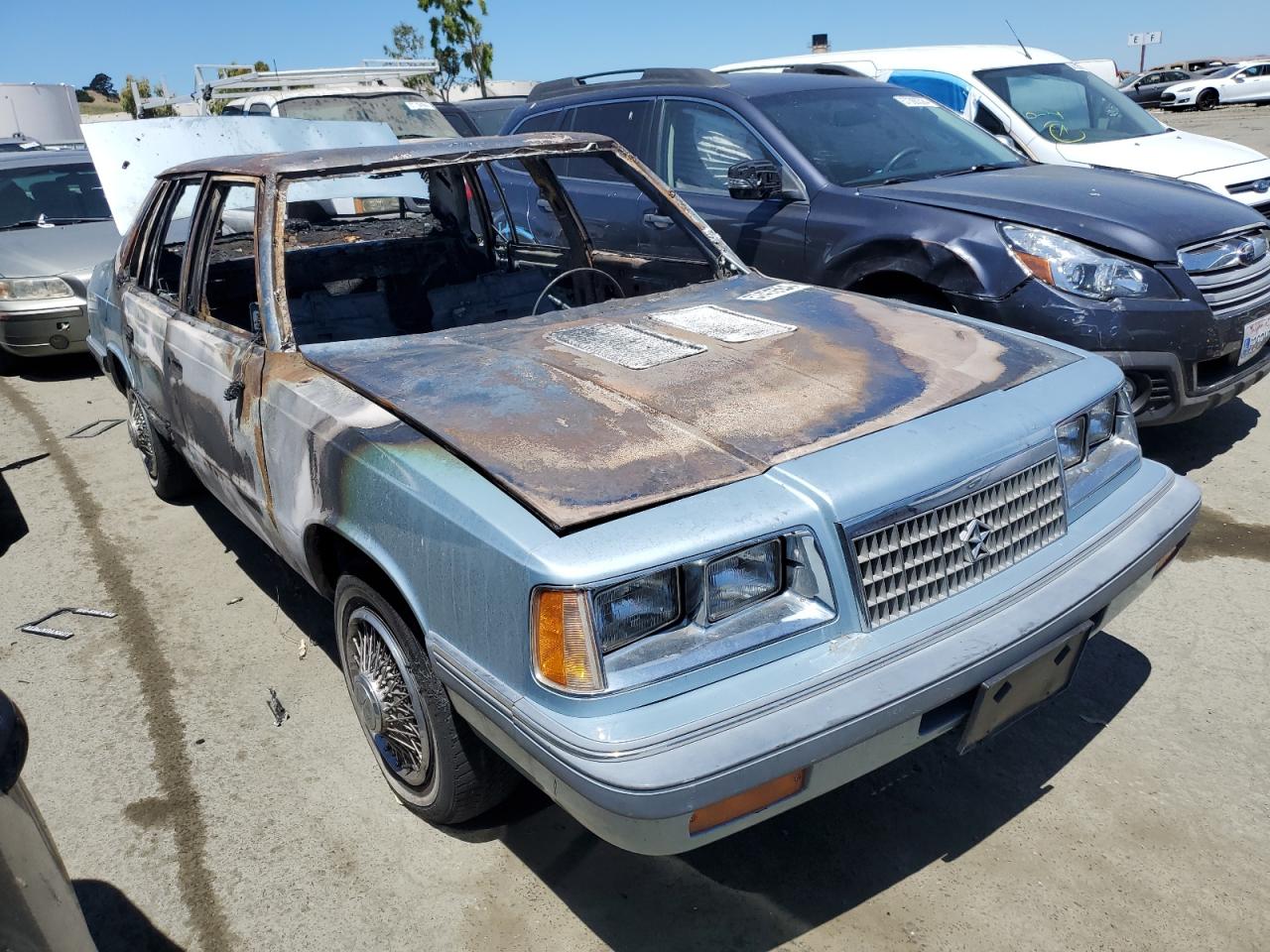 1P3BJ36E8GC139067 1986 Plymouth Caravelle