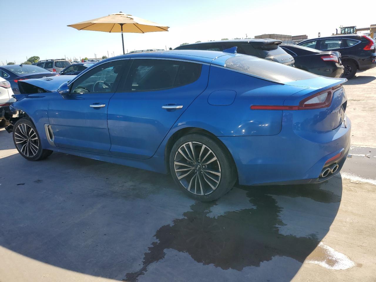 2019 Kia Stinger Premium vin: KNAE25LA5K6055591