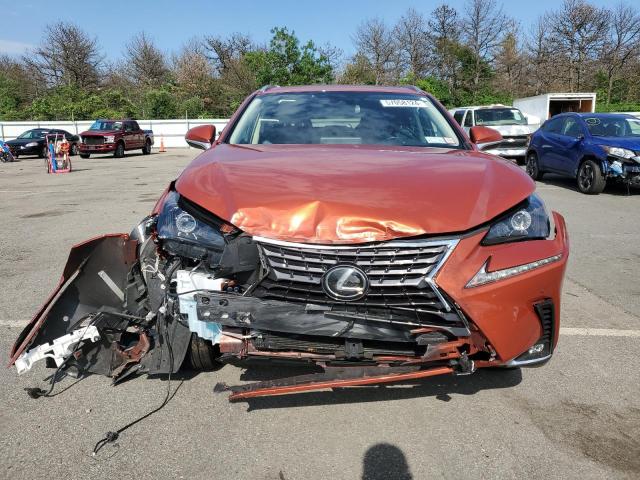 2021 Lexus Nx 300 Base VIN: JTJDARDZ9M2238612 Lot: 57058124