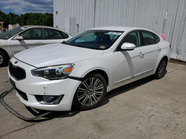 2014 Kia Cadenza Premium VIN: KNALN4D76E5132491 Lot: 58077984