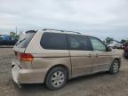 Lot #2872048191 2002 HONDA ODYSSEY EX