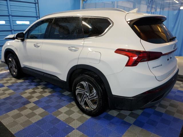 2023 Hyundai Santa Fe Sel VIN: 5NMS24AJ6PH505133 Lot: 59643634