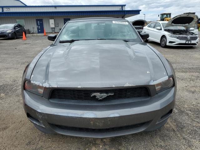 2011 Ford Mustang VIN: 1ZVBP8EM7B5111131 Lot: 57659024