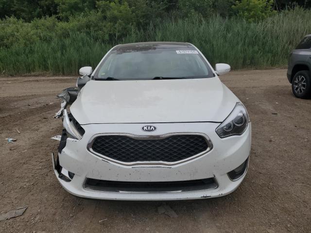 2014 Kia Cadenza Premium VIN: KNALN4D7XE5144482 Lot: 61074164