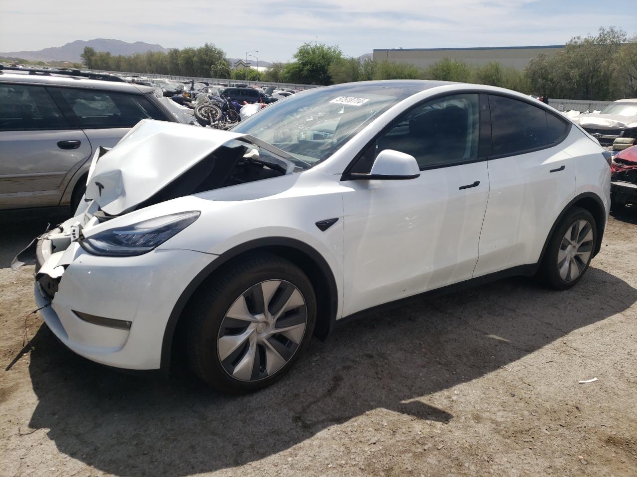 2023 Tesla Model Y vin: 7SAYGDEE3PA128769