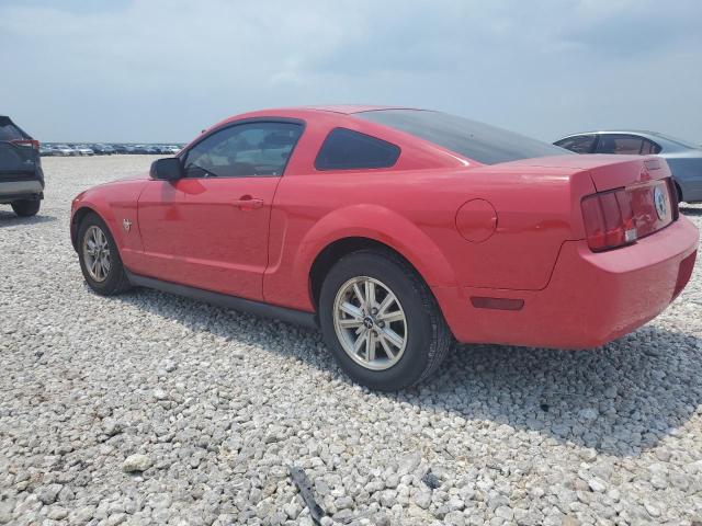 2009 Ford Mustang VIN: 1ZVHT80NX95135648 Lot: 56878514