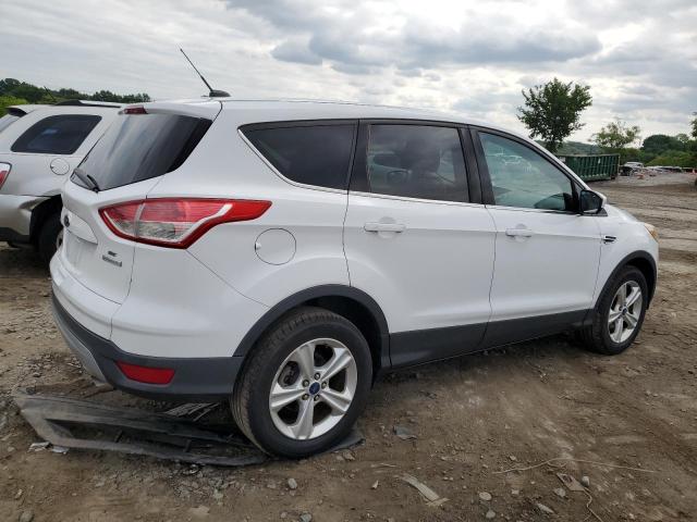 2014 Ford Escape Se VIN: 1FMCU0GX7EUC41506 Lot: 57320794