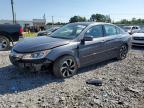 HONDA ACCORD EXL photo