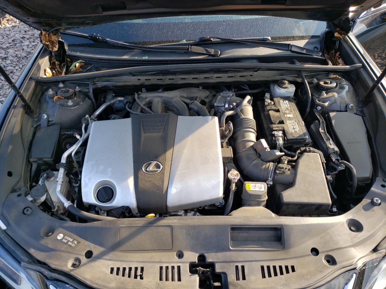 58ABZ1B15KU005365 2019 Lexus Es 350