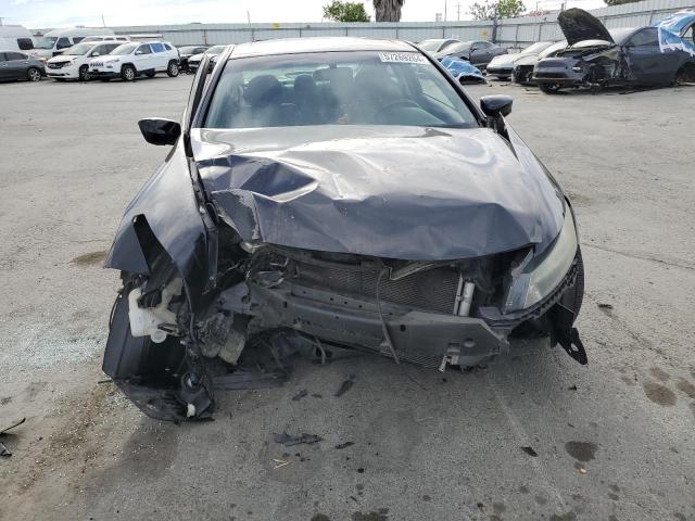 2011 Honda Accord Exl VIN: 1HGCS1B81BA016416 Lot: 57269264