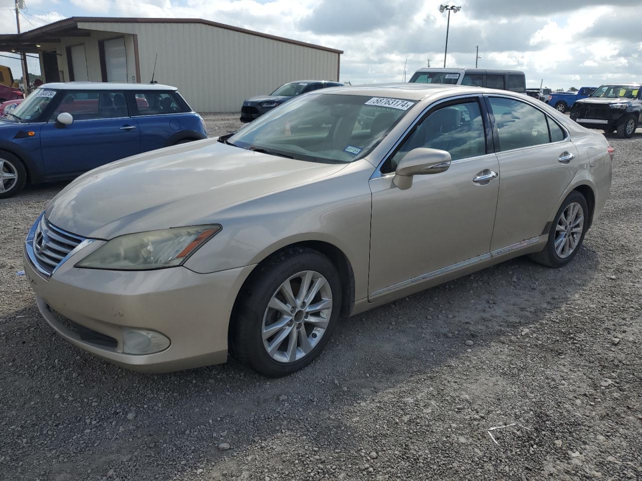 Lexus ES 2010 350