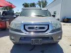 HONDA PILOT EXL photo