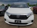 HONDA ODYSSEY EL photo