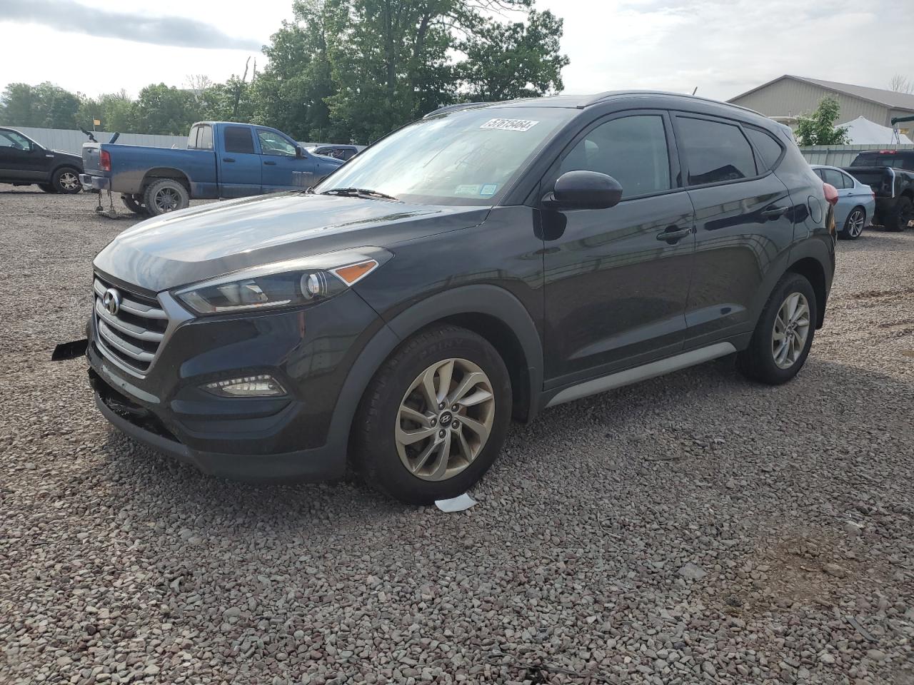 KM8J3CA46HU556005 2017 Hyundai Tucson Limited