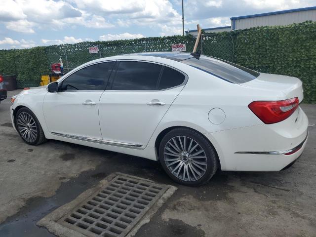 KNALN4D76E5127372 2014 Kia Cadenza Premium