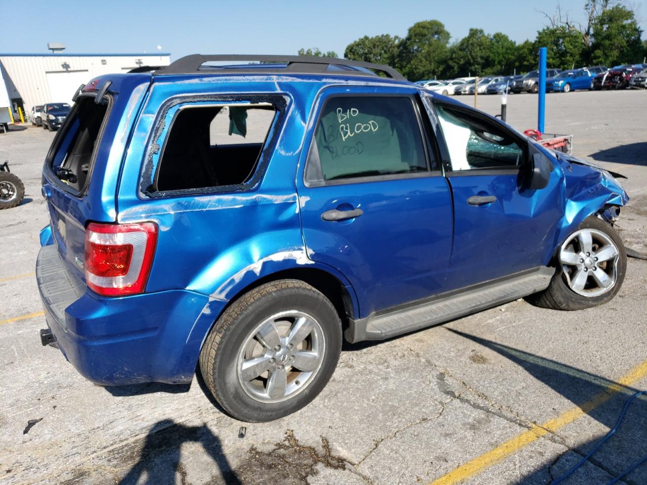 Lot #2723446705 2011 FORD ESCAPE XLT