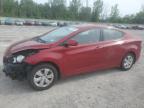 HYUNDAI ELANTRA SE photo