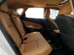 LEXUS NX 350H BA photo