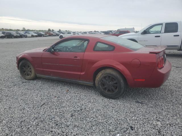 1ZVFT80N175294305 2007 Ford Mustang